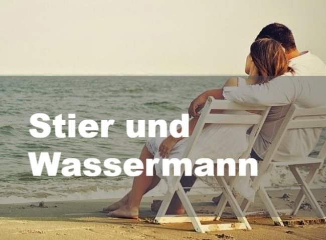 Stier und Wassermann: Partnerschaft, Freundschaft und Liebe