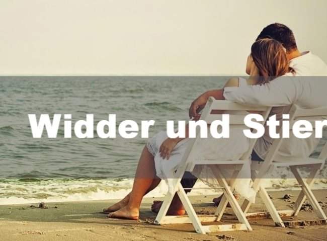 Widder und Stier: Partnerschaft, Freundschaft und Liebe