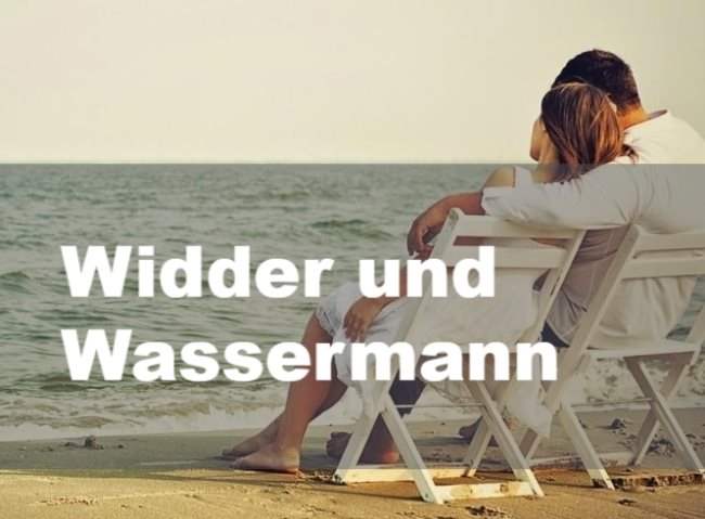 Widder und Wassermann