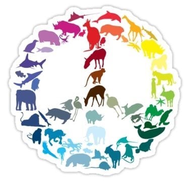 5 Tiere, die Frieden und Hoffnung symbolisieren