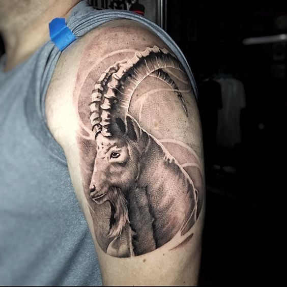 steinbock tattoo 01