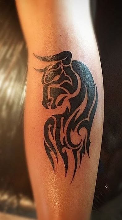 stier tattoo 50