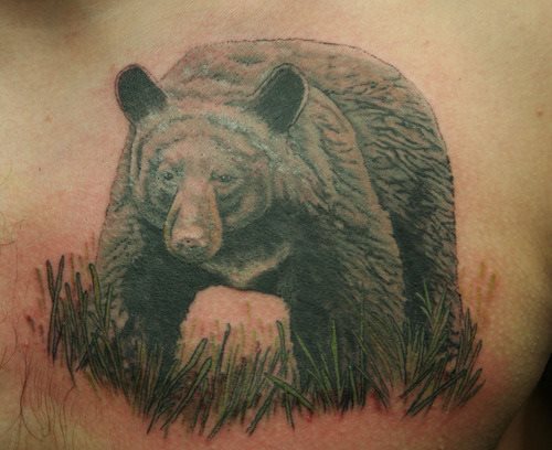 bear2