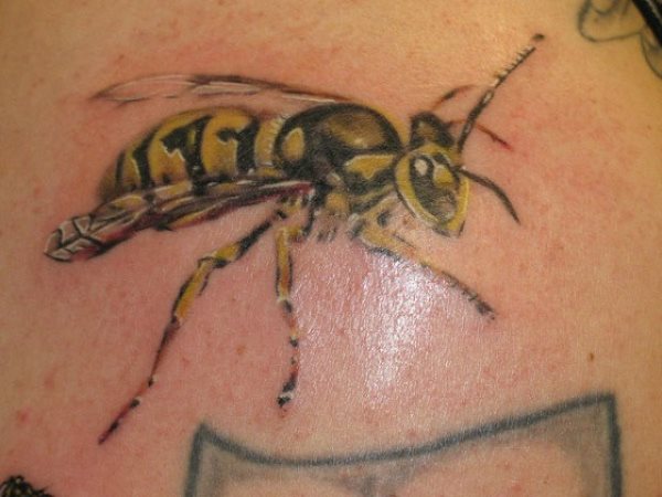 Bildergalerie mit 58 Tattoos von Wespen und Bienen