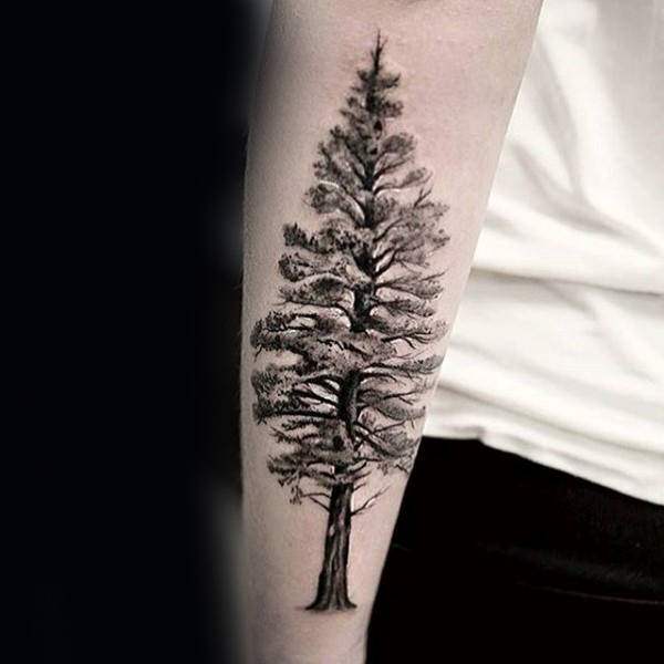 tattoo wald 216