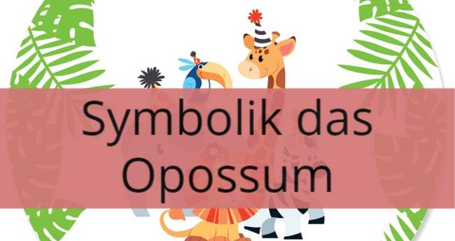 Symbolik das Opossum