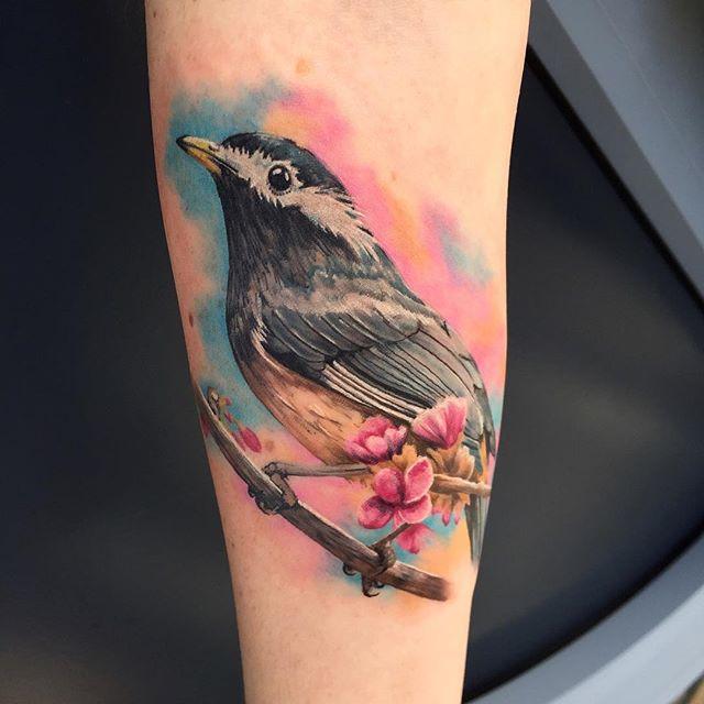 160 Tatuajes con muchos tipos de pájaros y aves