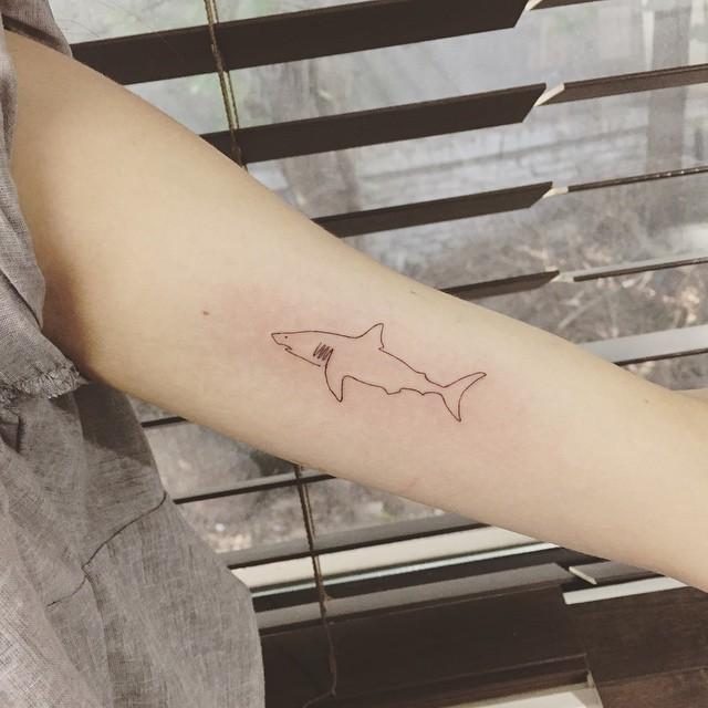 tatuaje tiburon 221