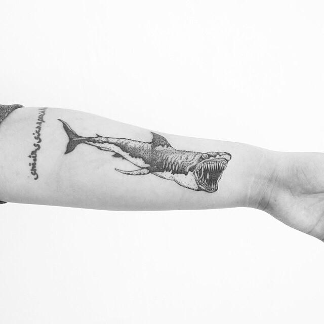 tatuaje tiburon 471
