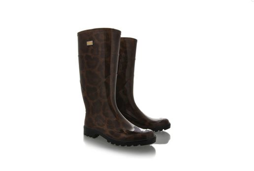 21-botas-agua