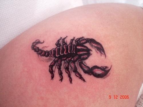 142-escorpion-tattoo