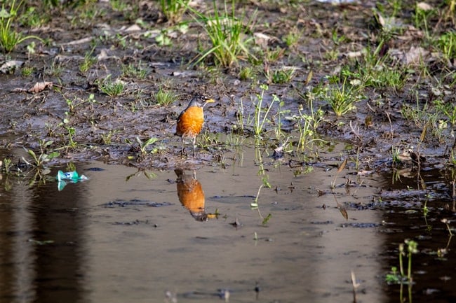 ¿Qué significa soñar con un río de agua sucia? Interpretaciones que se ajustan a la realidad