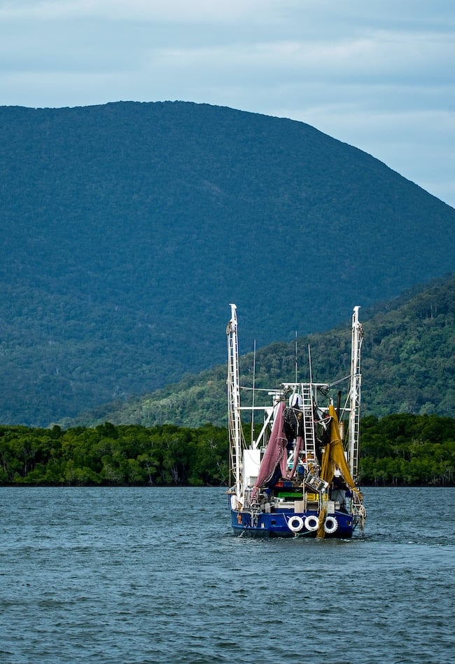 Un barco faenando