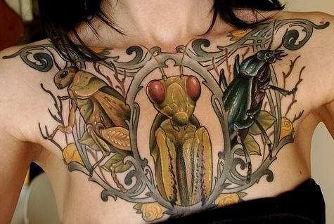 tattoo-insecto-10