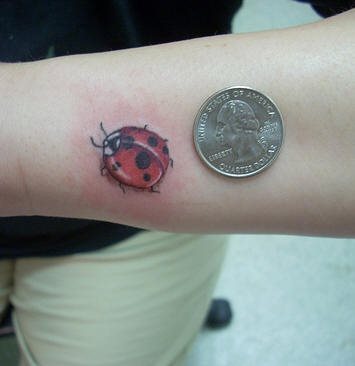 tattoo-insecto-12