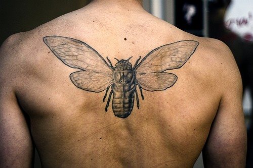 tatuaje-insecto-03