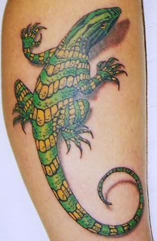 lagarto-tatuaje-113