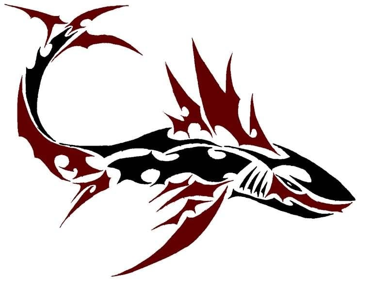 tatuaje-tiburon-111