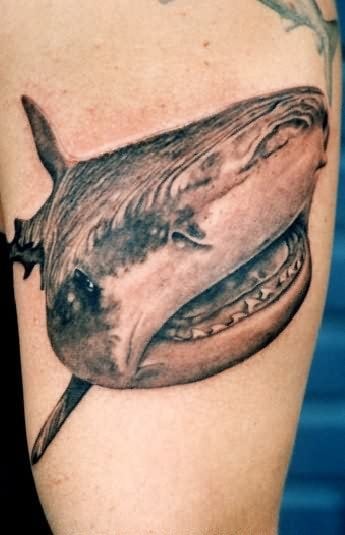 tatuaje-tiburon-137