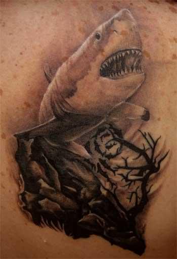 tatuaje-tiburon-138