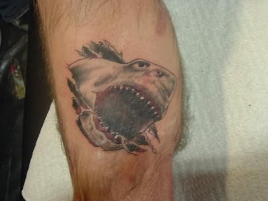 tatuaje-tiburon-139