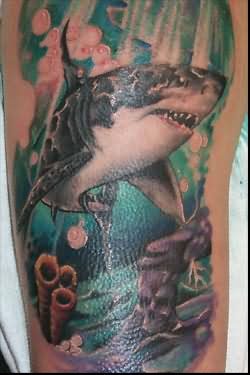 tiburones-tatuajes-125