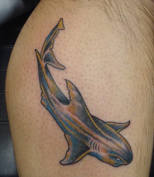 tiburones-tatuajes-149