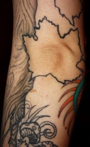 Tatuaje-arana-115