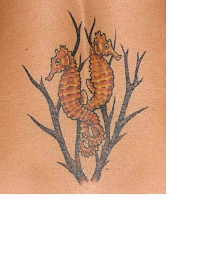 tatuajes-caballito-mar-44