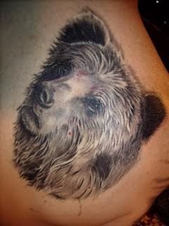 tatuajes-oso-39