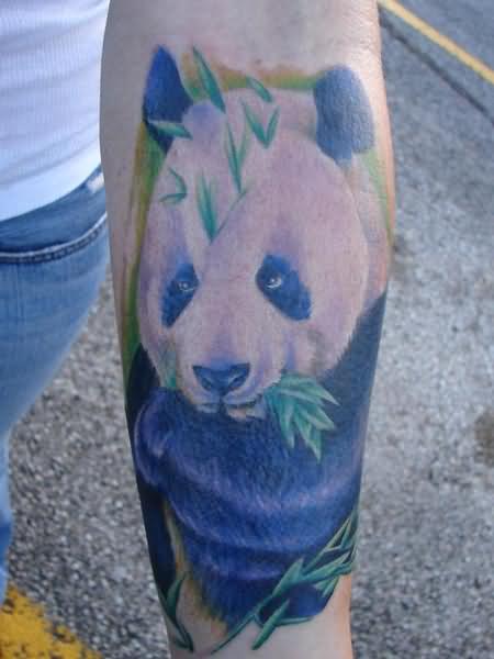 tatuaje-oso-panda-16