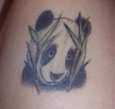 tatuaje-oso-panda-17