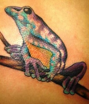 Tatuajes-ranas-01