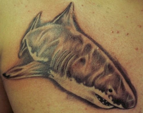 Tatuajes-tiburones-04