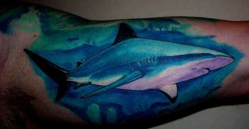 Tatuajes-tiburones-08