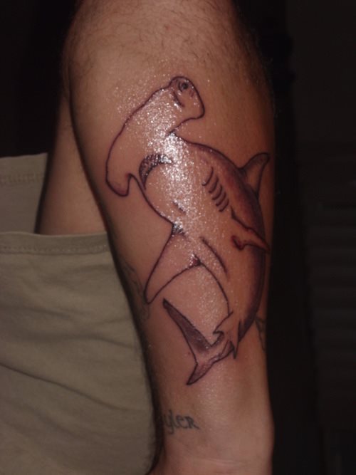 Tatuajes-tiburones-15