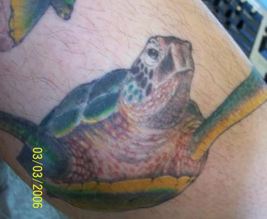 tatuajes-tortugas-03