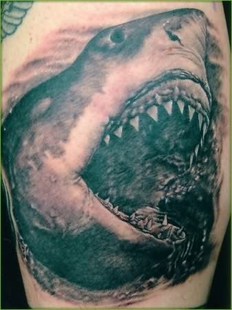 tatuajes-tiburones-03