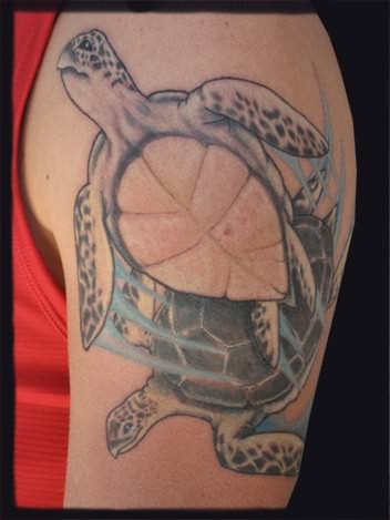 tatuajes-tortugas-13