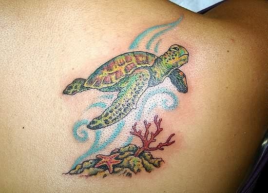 tatuajes-tortugas-16