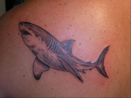 Tatuajes-de-tiburones-08