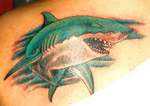 Tatuajes-de-tiburones-12