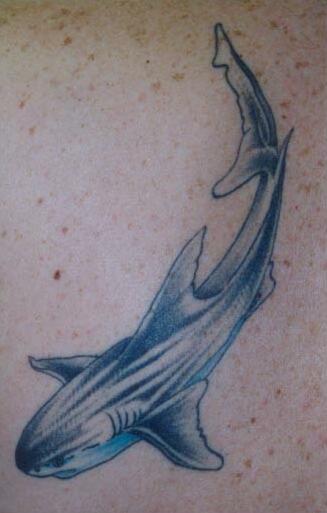Tatuajes-de-tiburones-16