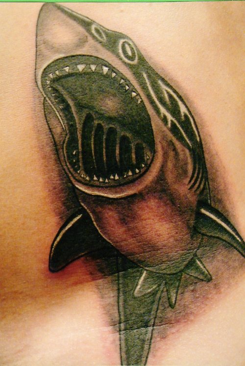 Tatuajes-de-tiburones-23