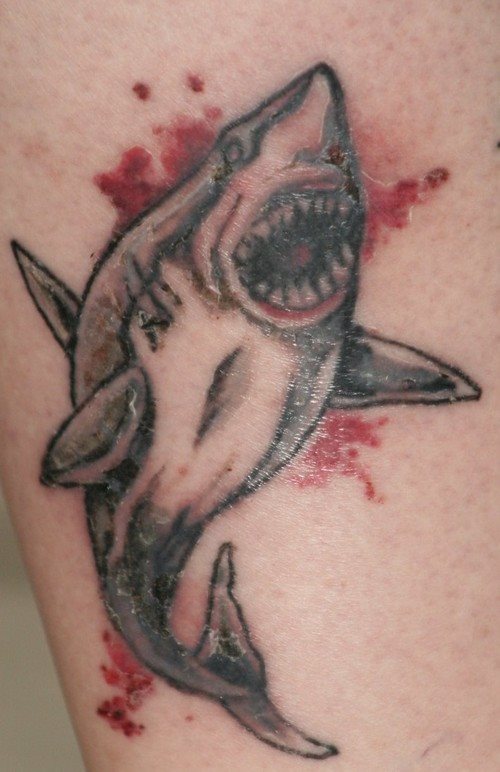 Tatuajes-de-tiburones-24