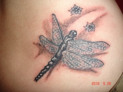 tatuaje-libelula-33