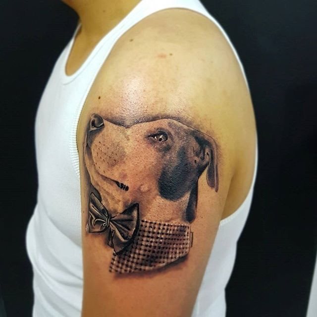 tatuaje Pitbull133