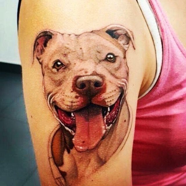tatuaje Pitbull153