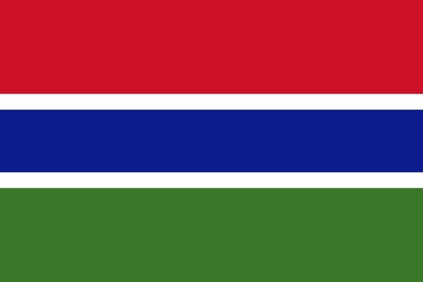 gambian flag large