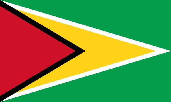 Bandera de Guyana. Historia y significado